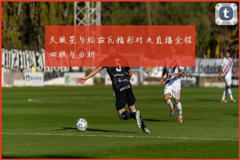 天狼星与松兹瓦精彩对决直播全程回顾与分析