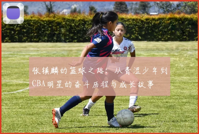 张镇麟的篮球之路：从青涩少年到CBA明星的奋斗历程与成长故事