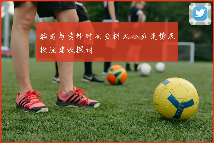 猛龙与黄蜂对决分析大小分走势及投注建议探讨