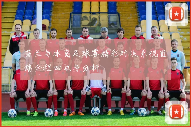 芬兰与冰岛足球赛精彩对决乐视直播全程回放与分析